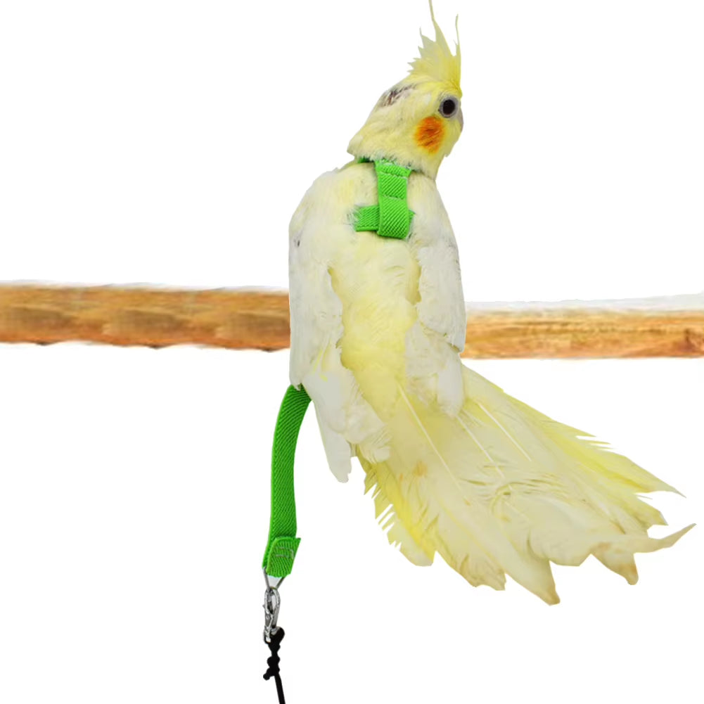 Hot Sale Anti-Bite Flying Training Rope Parrot Bird Pet Leash Kits Ultralight Harness Leash Soft Portable Pet Playthings