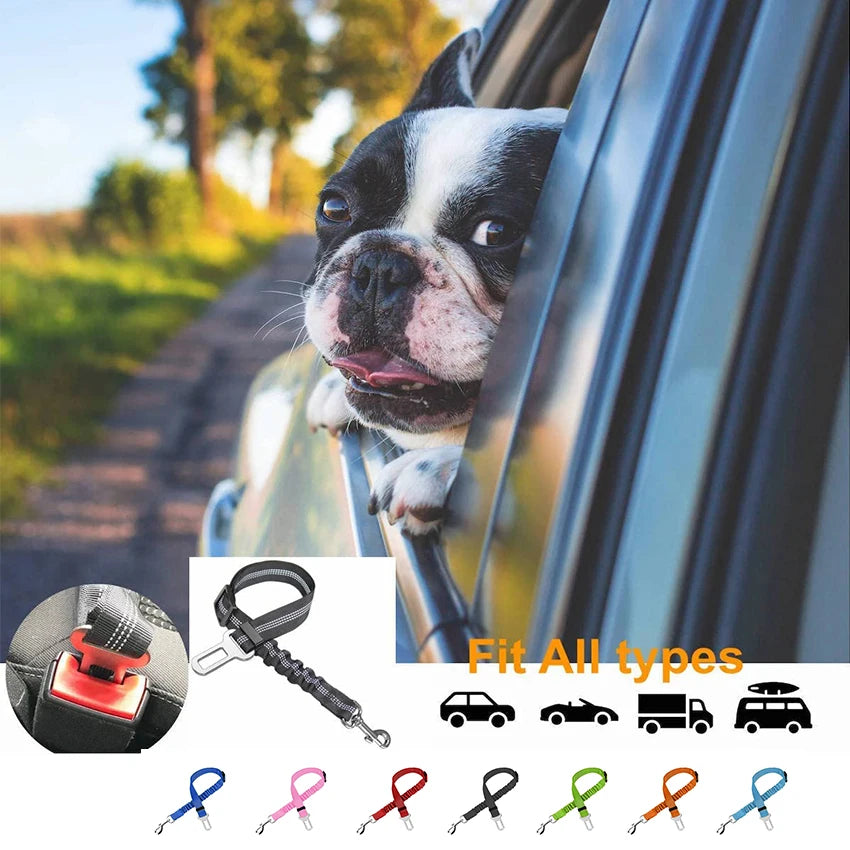 Dog Car Seat Belt Elastic Adjustible Leash Belt for Pet Car Travel Dog Cat Safety Rope Pet Travel Essentials Accessories