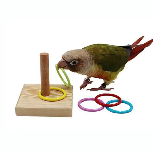 Bird Training Ring Toy Parrot Educational Toys Training Interactive Bird Supplies Bird Toys Random Color Игрушки Для Попугаев