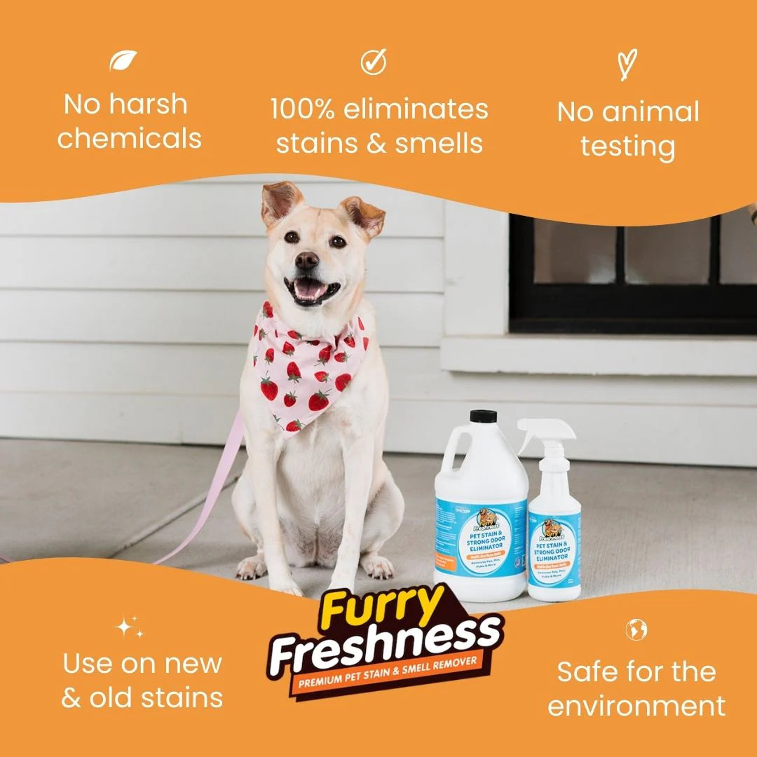 Pet Stain & Odor Remover (Multiple Sizes)