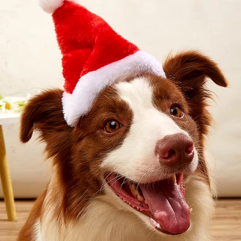 Christmas Dog Clother Pet Cat Dog Christmas Hat Cap Plush Santa Hat Merry Christmas Decorations for Small Medium Dog Dog Supplie