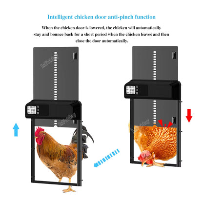 Timer Automatic Chicken Coop Door Opener Aluminum+Abs Waterproof Intelligent Anti-Pinch Induction Electric Poultry Gate for Farm