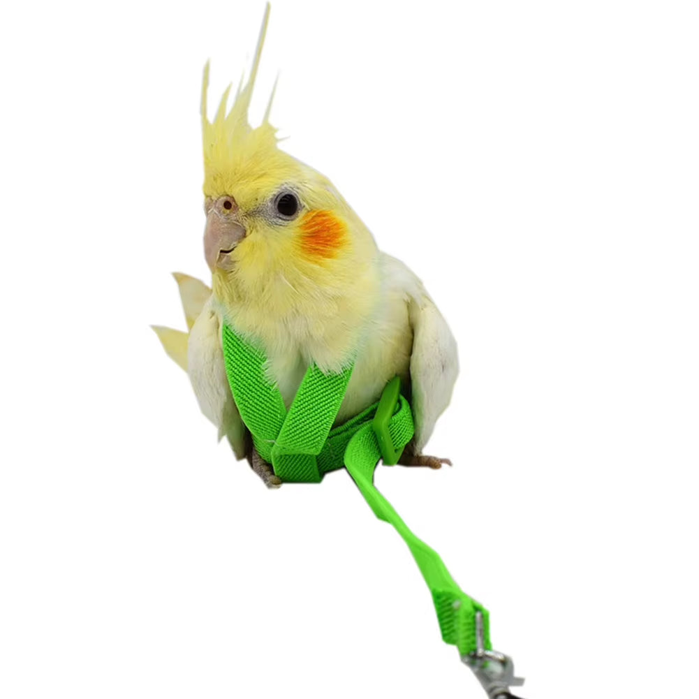 Hot Sale Anti-Bite Flying Training Rope Parrot Bird Pet Leash Kits Ultralight Harness Leash Soft Portable Pet Playthings