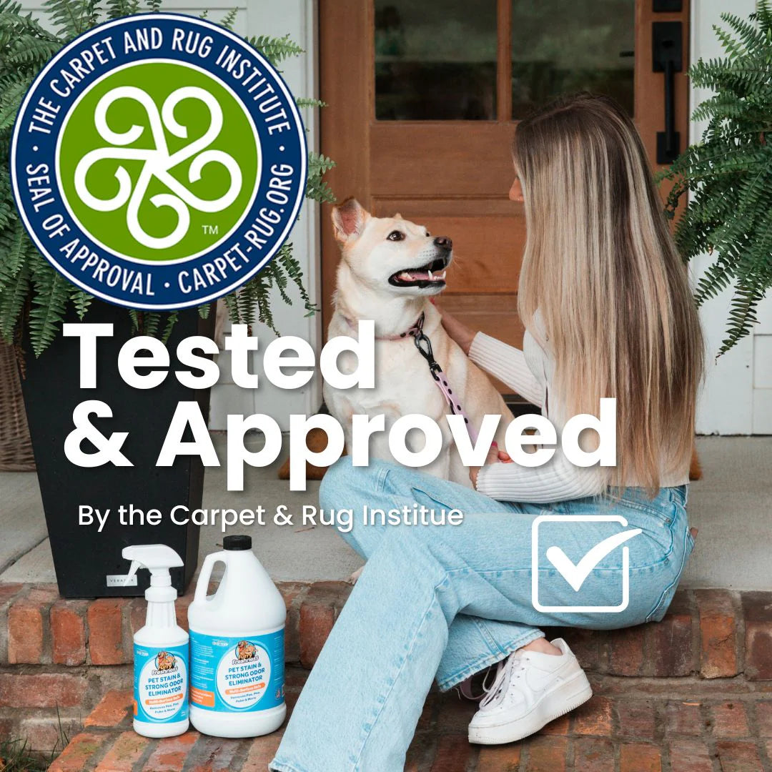 Pet Stain & Odor Remover (Multiple Sizes)