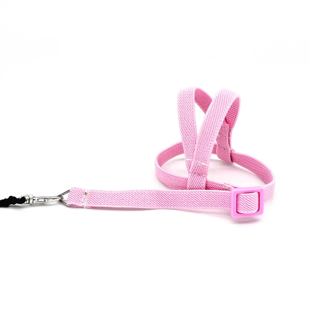 Hot Sale Anti-Bite Flying Training Rope Parrot Bird Pet Leash Kits Ultralight Harness Leash Soft Portable Pet Playthings