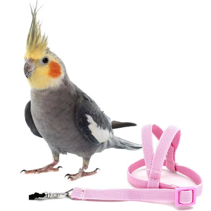 Hot Sale Anti-Bite Flying Training Rope Parrot Bird Pet Leash Kits Ultralight Harness Leash Soft Portable Pet Playthings